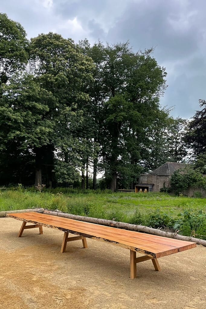 Lokale bomen krijgen tweede leven 4