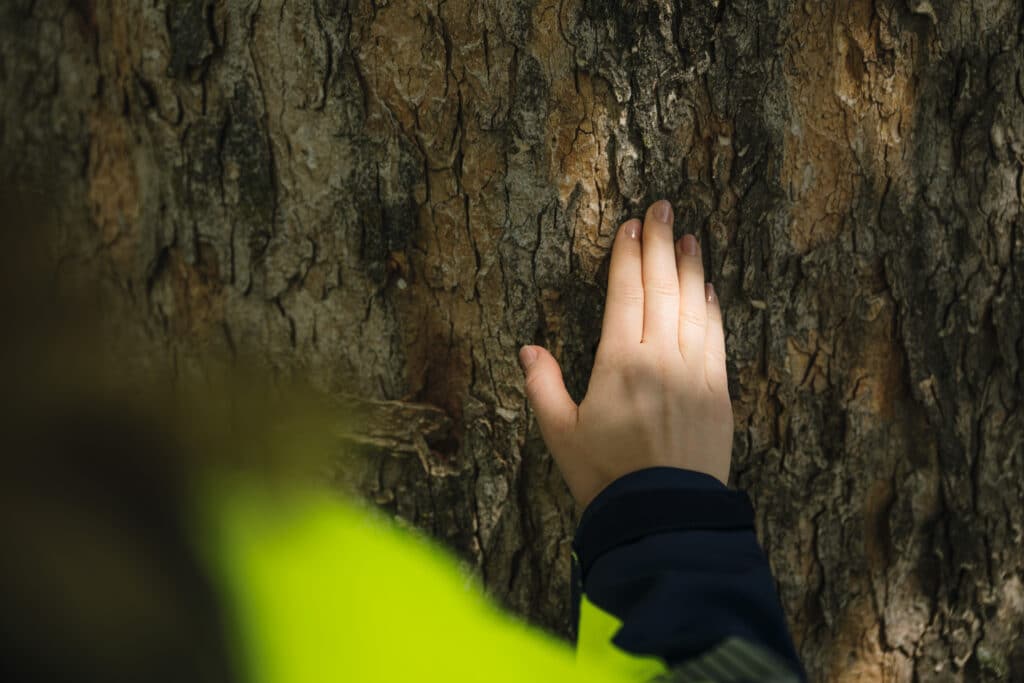 Meer halen uit iedere boom 1