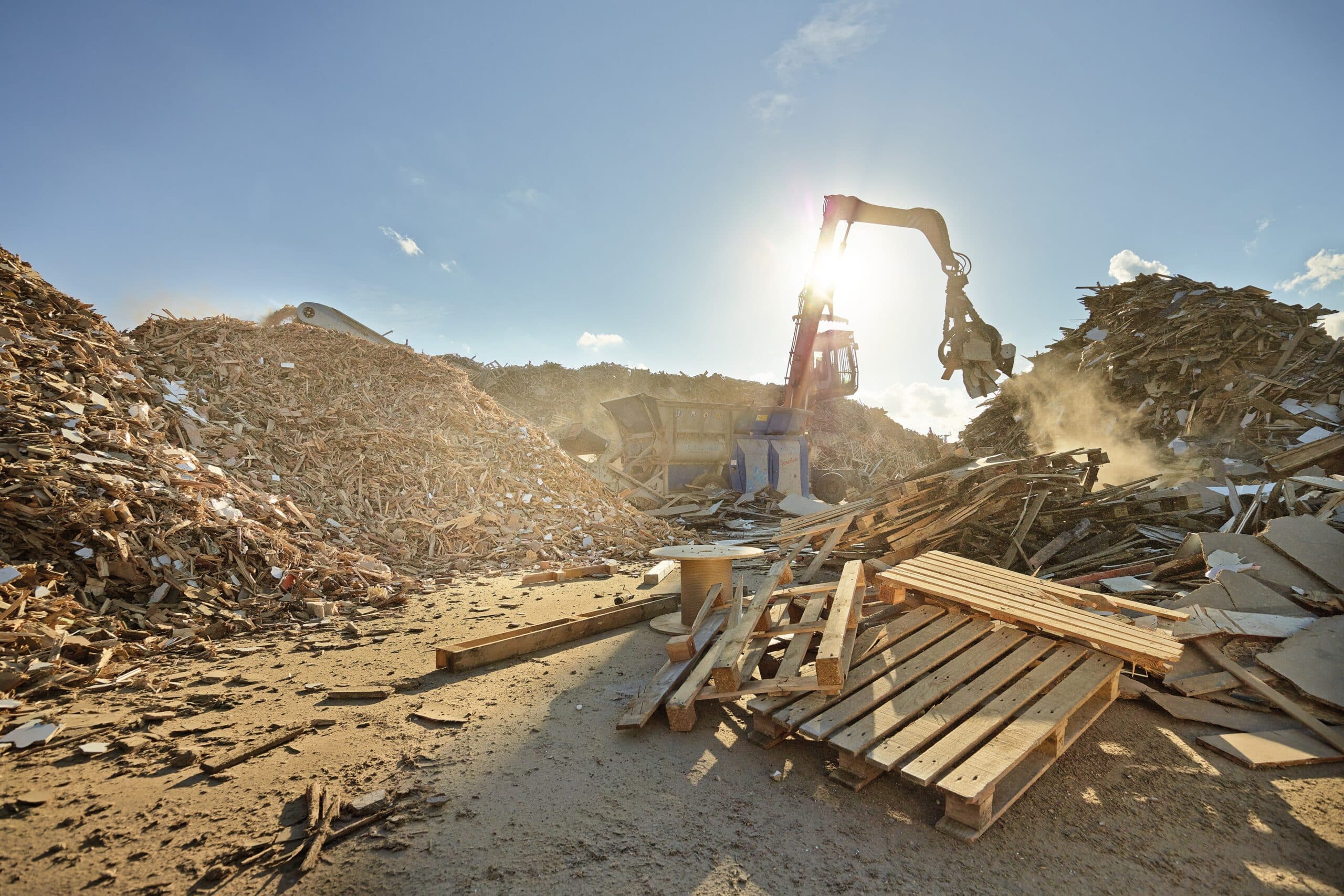 Meer halen uit iedere boom 1